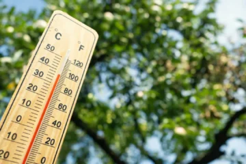 ¿Cómo afectan al cerebro las altas temperaturas? Los expertos dan consejos para protegerlo