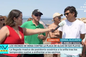Los vecinos de Denia, hartos de la invasión de algas en las playas: «Generan olores muy fuertes»