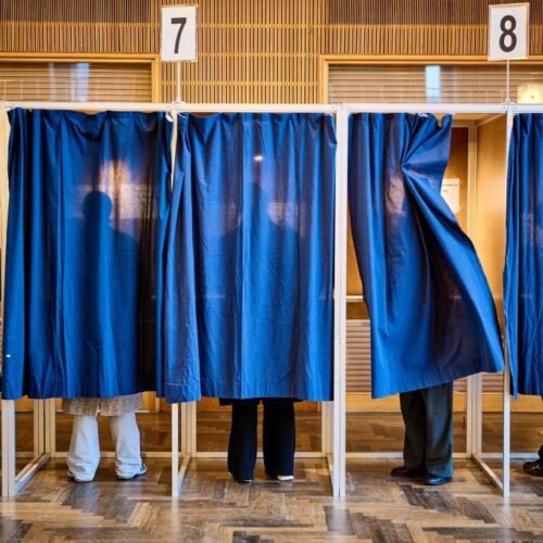 El cerdo protagoniza las elecciones de Dinamarca