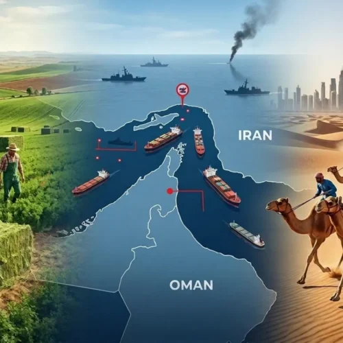 La guerra en Irán golpea al negocio más exótico del campo español: la venta de alfalfa ‘deluxe’ para carreras de camellos