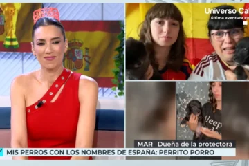 Una protectora pone en adopción a varios perros con los nombres de la Selección española: «Perrito Porro, Ferran, Unai…»