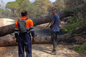 El regreso con peligro a un paraje fundido a negro: «De repente puedes hundirte medio metro»