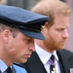 Guillermo y Enrique de Inglaterra, una relación que sigue en punto muerto: “No hay ningún contacto”