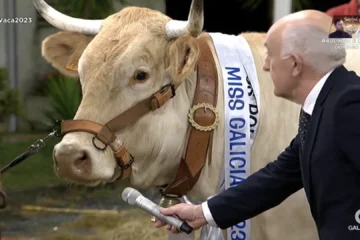 El triunfo interminable de ‘Luar’: por qué los niños de hoy quieren ser el Gayoso de mañana