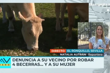 Denuncia a su vecino por robarle cuatro becerras y ser el amante de su mujer