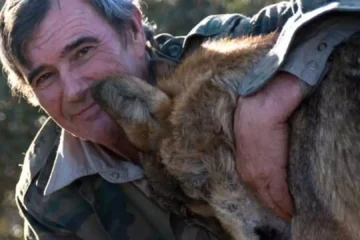 Marcos Rodríguez Pantoja, el «niño salvaje» español que fue más feliz con lobos que entre los humanos