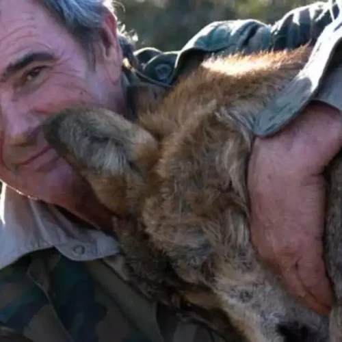 Marcos Rodríguez Pantoja, el «niño salvaje» español que fue más feliz con lobos que entre los humanos