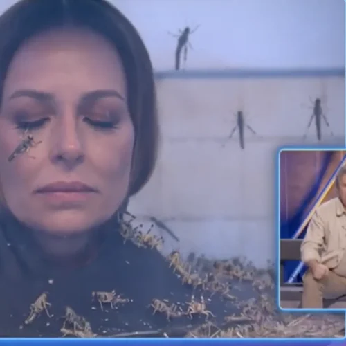 El pánico de Eva González y Lorena Castell, llenas de saltamontes en ‘Congelados’: «¡Me ha caído uno, están por fuera!»