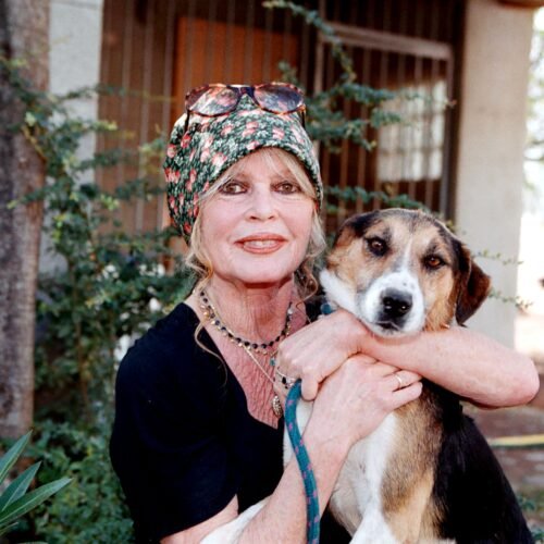 Los objetos personales de Brigitte Bardot se subastan en París por casi un millón de euros con la oposición de su viudo