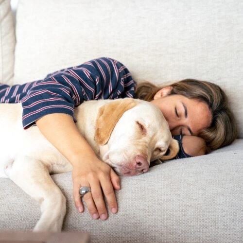 Beneficios y riesgos de dormir con tu mascota: de la sensación de seguridad a la pérdida de calidad del sueño