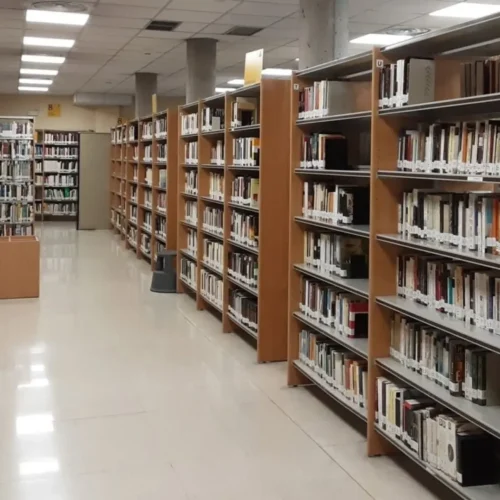 El Ministerio de Cultura reivindica en el Día de las Bibliotecas 2026 el papel de sus trabajadores